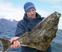 Зимняя рыбалка и отдых в Хавнес Хандельсстед Норвегия
