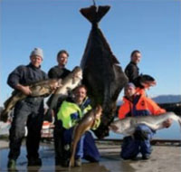 Зимняя рыбалка в Торсваг Норвегия